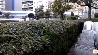 海盗JDMY001 密友 第一集